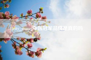 赤壁中国冠军品牌是真的吗