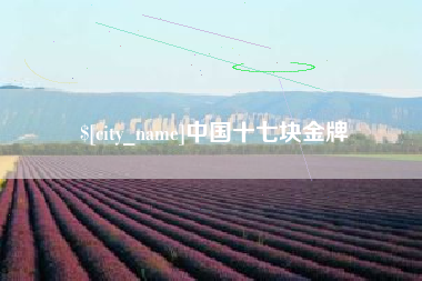 赤壁中国十七块金牌
