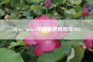 赤壁中国金牌榜明细2021