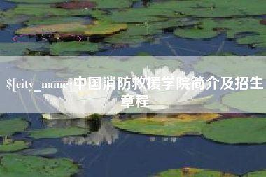 赤壁中国消防救援学院简介及招生章程