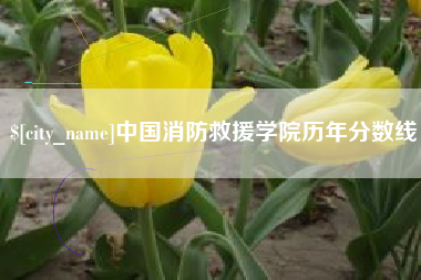 赤壁中国消防救援学院历年分数线