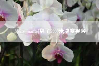 赤壁男子5000米决赛视频