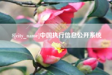 赤壁中国执行信息公开系统