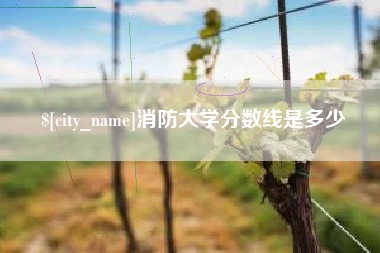 赤壁消防大学分数线是多少