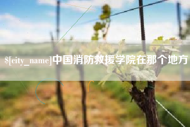 赤壁中国消防救援学院在那个地方