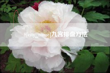 赤壁九宫排盘方法