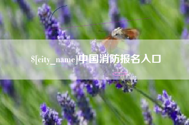 赤壁中国消防报名入口
