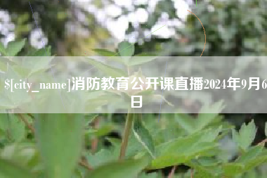 赤壁消防教育公开课直播2024年9月6日