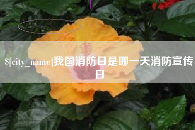 赤壁我国消防日是哪一天消防宣传日