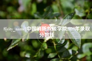 赤壁中国消防救援学院2019年录取分数线