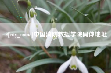 赤壁中国消防救援学院具体地址