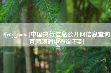 赤壁中国执行信息公开网信息查询官网限消中查询不到
