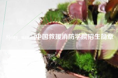 赤壁中国救援消防学院招生简章