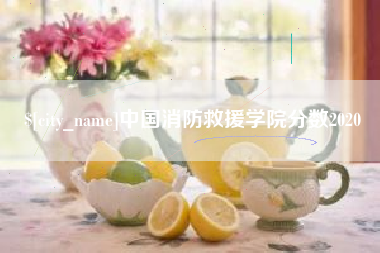 赤壁中国消防救援学院分数2020