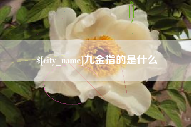 赤壁九金指的是什么