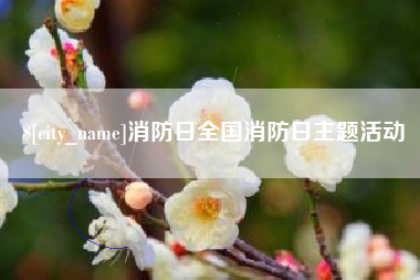 赤壁消防日全国消防日主题活动