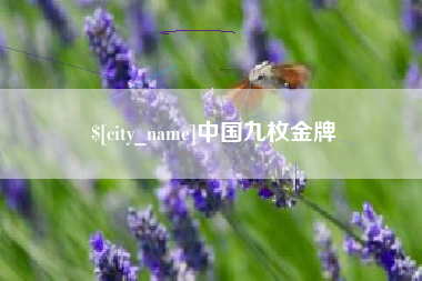 赤壁中国九枚金牌