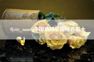 赤壁中国消防学院排名前十