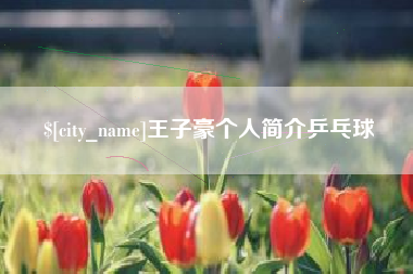 赤壁王子豪个人简介乒乓球