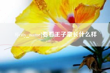 赤壁看看王子豪长什么样
