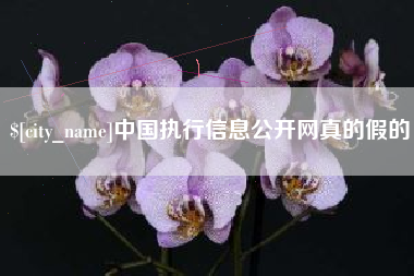 赤壁中国执行信息公开网真的假的