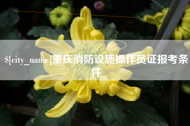 赤壁重庆消防设施操作员证报考条件
