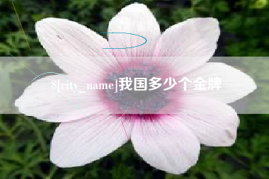 赤壁我国多少个金牌