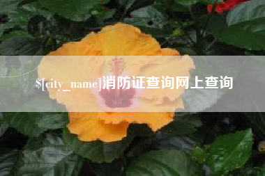 赤壁消防证查询网上查询