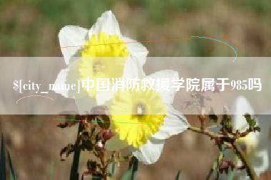 赤壁中国消防救援学院属于985吗