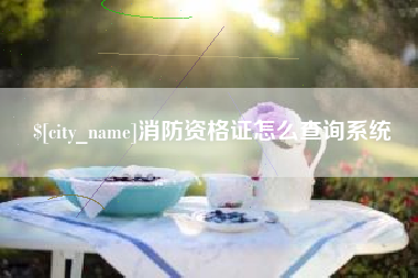 赤壁消防资格证怎么查询系统