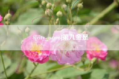 赤壁第九金是