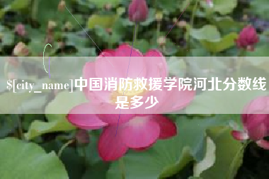 赤壁中国消防救援学院河北分数线是多少