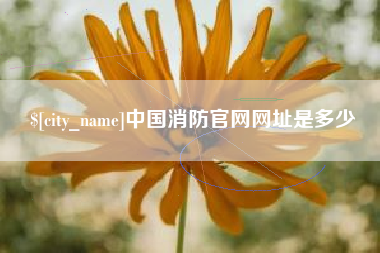 赤壁中国消防官网网址是多少