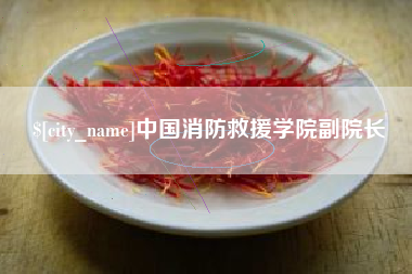 赤壁中国消防救援学院副院长