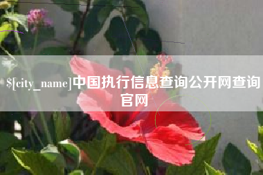 赤壁中国执行信息查询公开网查询官网