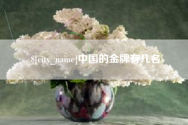 赤壁中国的金牌有几名
