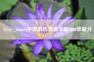 赤壁中国消防救援学院2020录取分