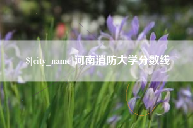 赤壁河南消防大学分数线
