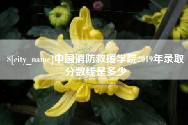 赤壁中国消防救援学院2019年录取分数线是多少
