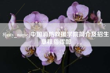 赤壁中国消防救援学院简介及招生章程指挥部