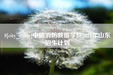 赤壁中国消防救援学院2021年山东招生计划