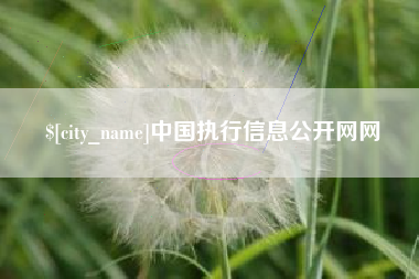 赤壁中国执行信息公开网网