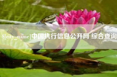 赤壁中国执行信息公开网 综合查询
