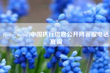 赤壁中国执行信息公开网客服电话查询