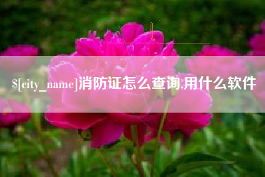 赤壁消防证怎么查询,用什么软件