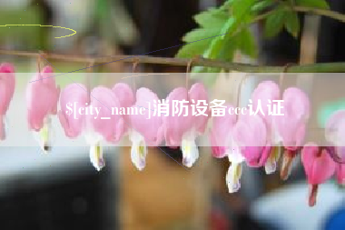 赤壁消防设备ccc认证