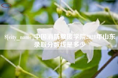 赤壁中国消防救援学院2021年山东录取分数线是多少