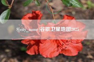 赤壁谷歌卫星地图2025