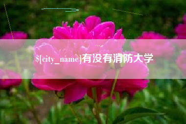 赤壁有没有消防大学