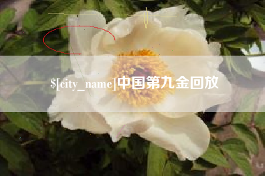 赤壁中国第九金回放